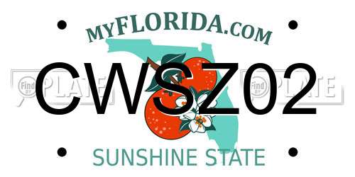 CWSZ02 Florida License Plate