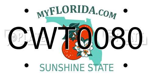 CWT0080 Florida License Plate