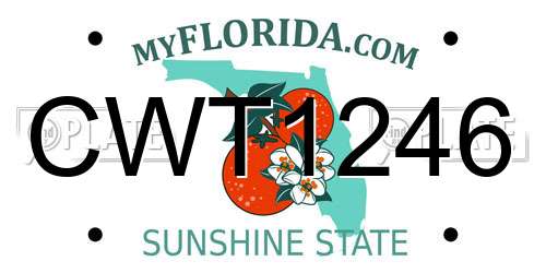 CWT1246 Florida License Plate