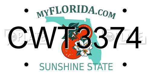 CWT3374 Florida License Plate