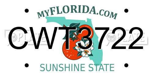 CWT3722 Florida License Plate