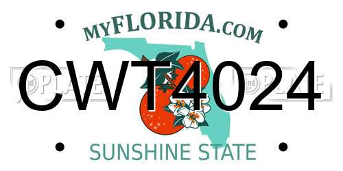 CWT4024 Florida License Plate
