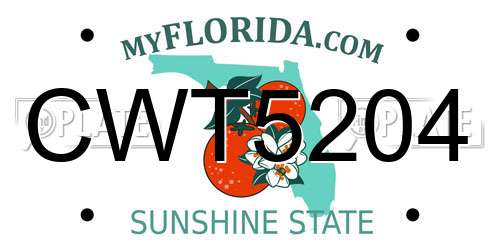 CWT5204 Florida License Plate