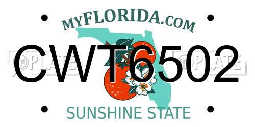 CWT6502 Florida License Plate