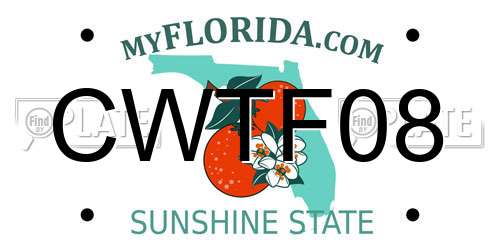 CWTF08 Florida License Plate