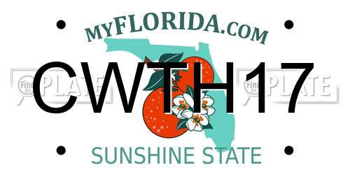 CWTH17 Florida License Plate
