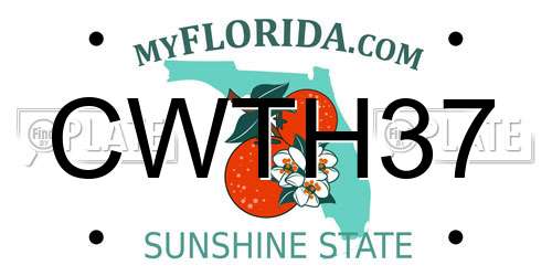 CWTH37 Florida License Plate