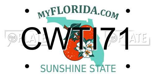 CWTI71 Florida License Plate