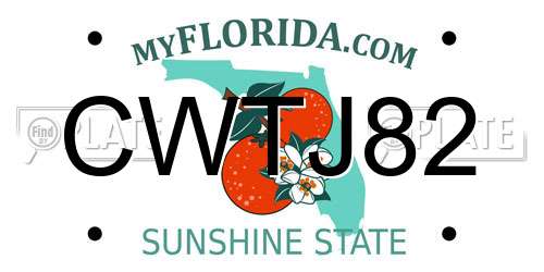 CWTJ82 Florida License Plate