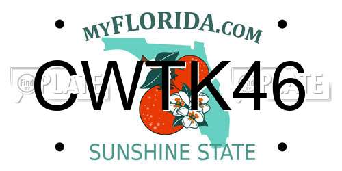 CWTK46 Florida License Plate