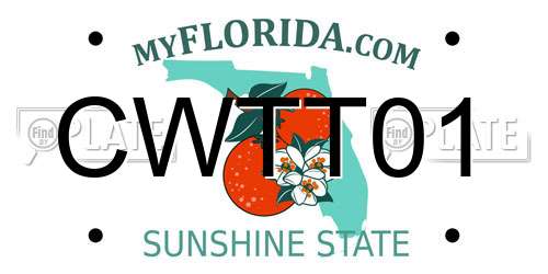 CWTT01 Florida License Plate