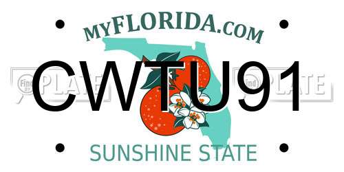 CWTU91 Florida License Plate