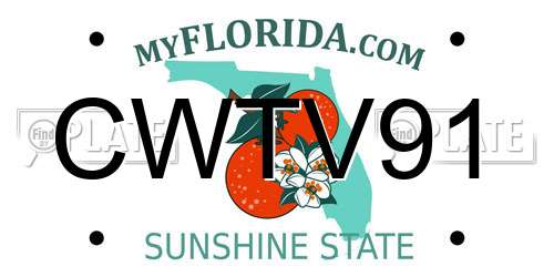 CWTV91 Florida License Plate