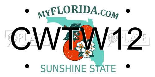 CWTW12 Florida License Plate