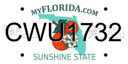 CWU1732 Florida License Plate