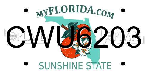 CWU6203 Florida License Plate