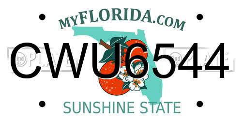 CWU6544 Florida License Plate