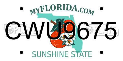 CWU9675 Florida License Plate