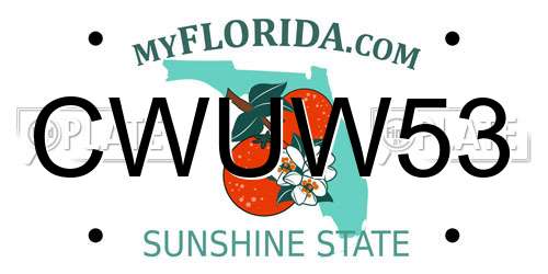 CWUW53 Florida License Plate
