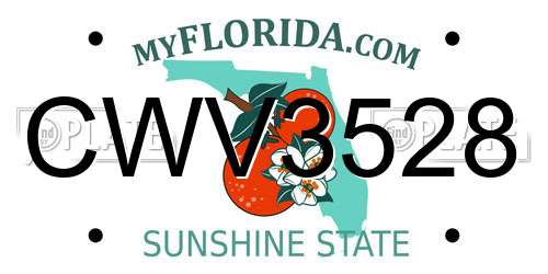 CWV3528 Florida License Plate