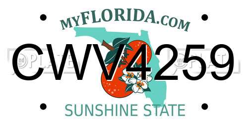 CWV4259 Florida License Plate