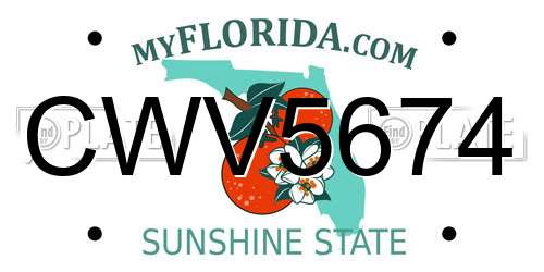 CWV5674 Florida License Plate
