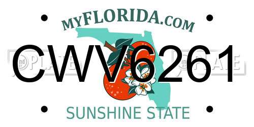 CWV6261 Florida License Plate