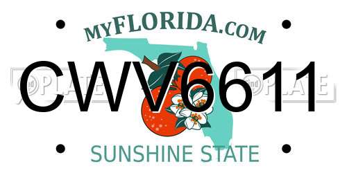 CWV6611 Florida License Plate