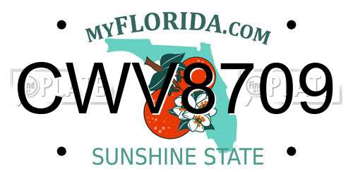 CWV8709 Florida License Plate