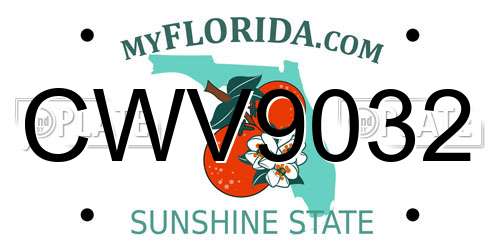 CWV9032 Florida License Plate