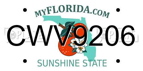 CWV9206 Florida License Plate
