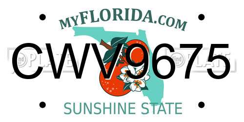 CWV9675 Florida License Plate