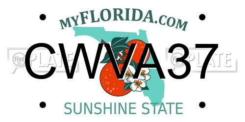 CWVA37 Florida License Plate