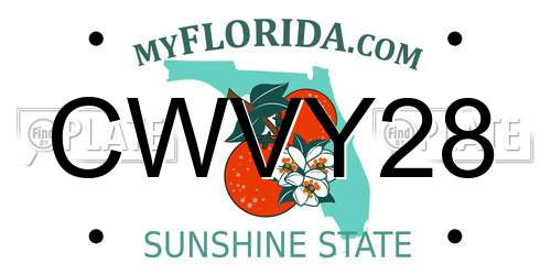 CWVY28 Florida License Plate