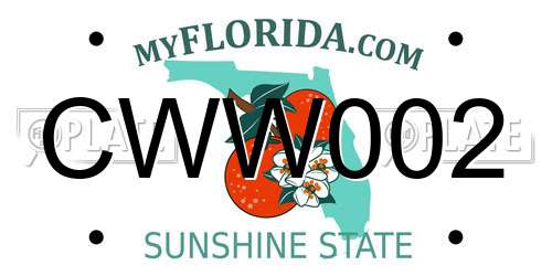 CWW002 Florida License Plate