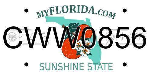 CWW0856 Florida License Plate
