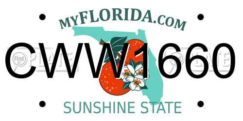 CWW1660 Florida License Plate