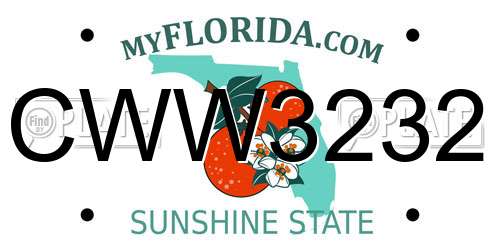 CWW3232 Florida License Plate