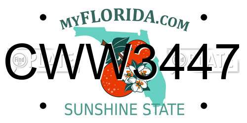 CWW3447 Florida License Plate