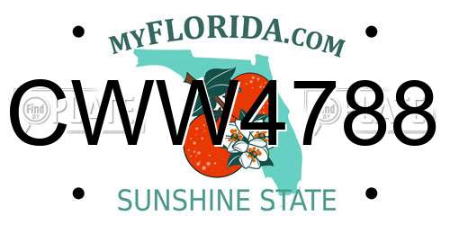 CWW4788 Florida License Plate