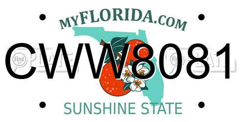 CWW8081 Florida License Plate