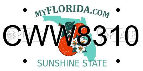 CWW8310 Florida License Plate