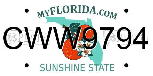 CWW9794 Florida License Plate