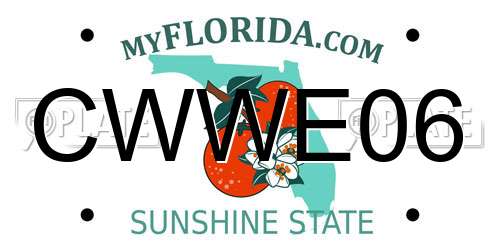 CWWE06 Florida License Plate