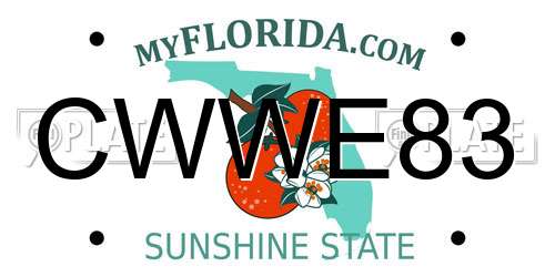 CWWE83 Florida License Plate