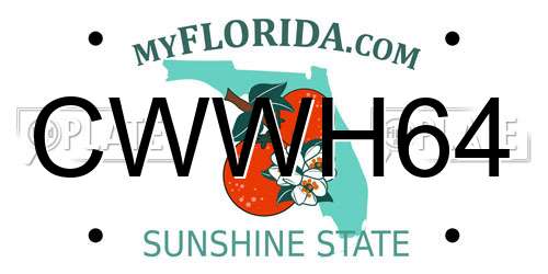 CWWH64 Florida License Plate