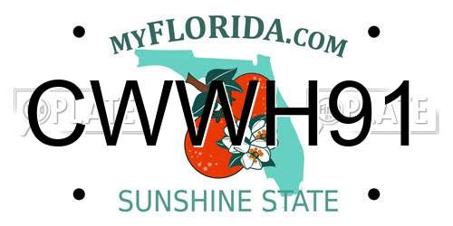 CWWH91 Florida License Plate