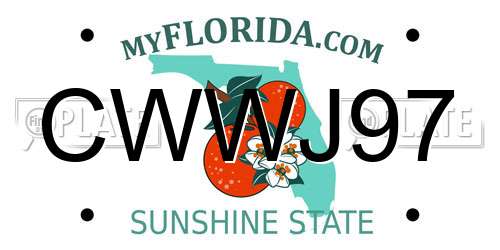 CWWJ97 Florida License Plate