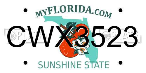 CWX3523 Florida License Plate
