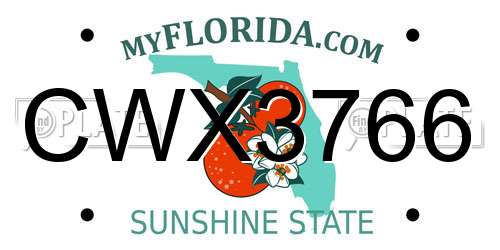 CWX3766 Florida License Plate